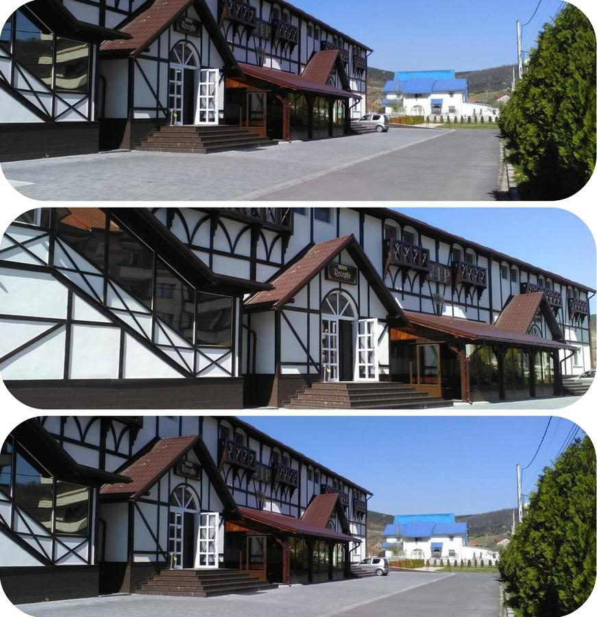 Vip Motel Restaurant Hateg Bagian luar foto
